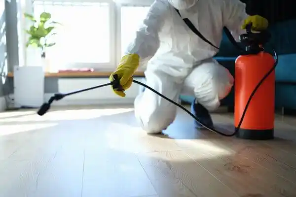 pest control Bel Air